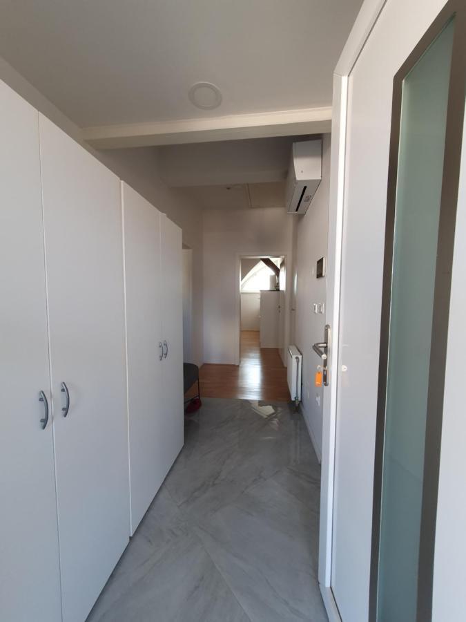 Charming Apartment Mila In Privat House With Free Parking Liubliana Exterior foto