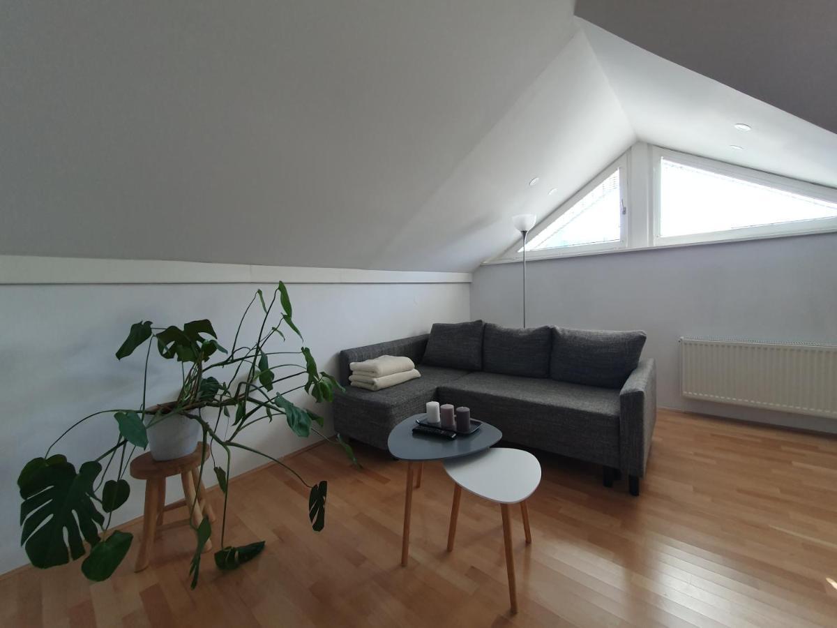 Charming Apartment Mila In Privat House With Free Parking Liubliana Exterior foto