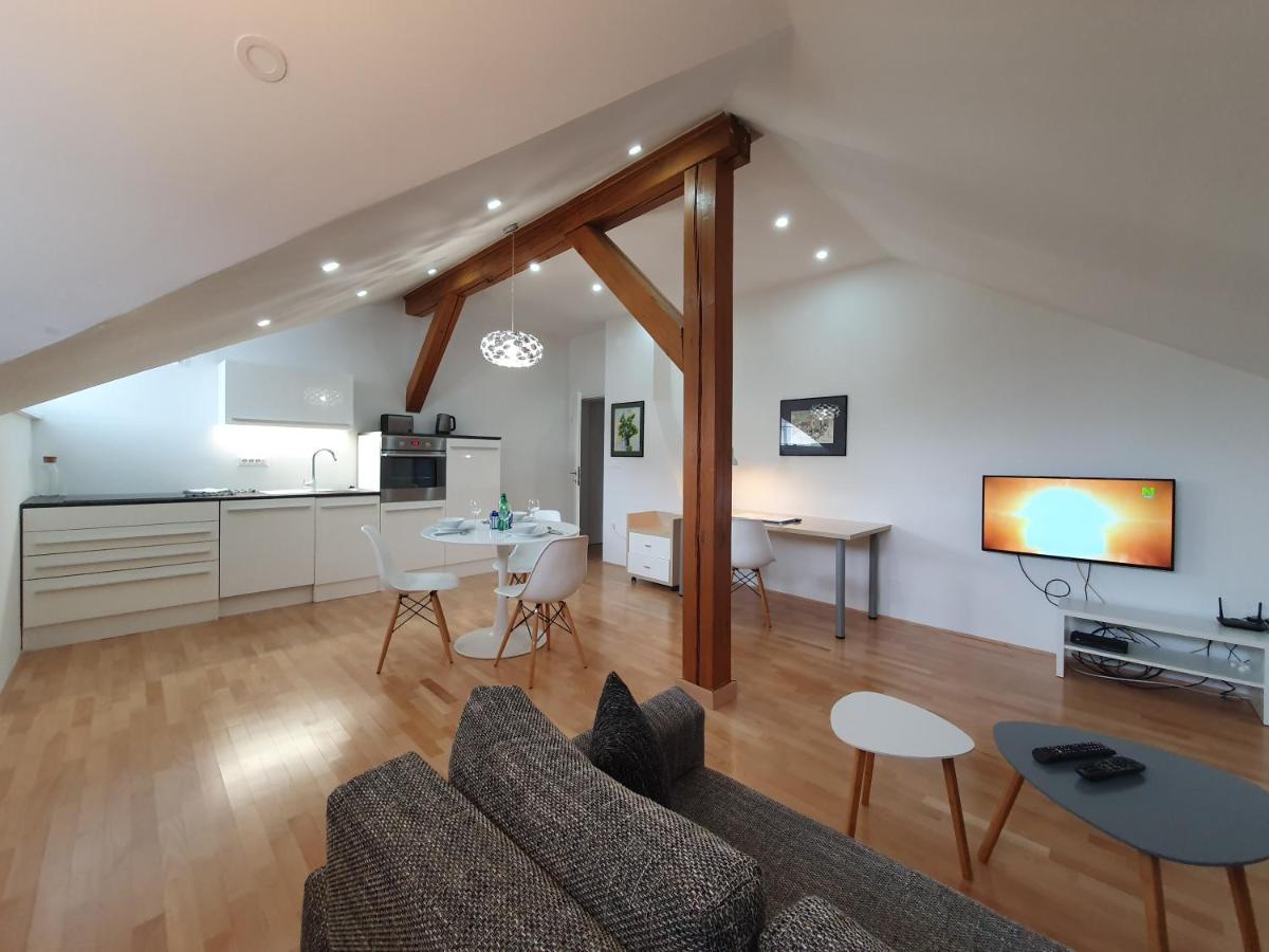 Charming Apartment Mila In Privat House With Free Parking Liubliana Exterior foto