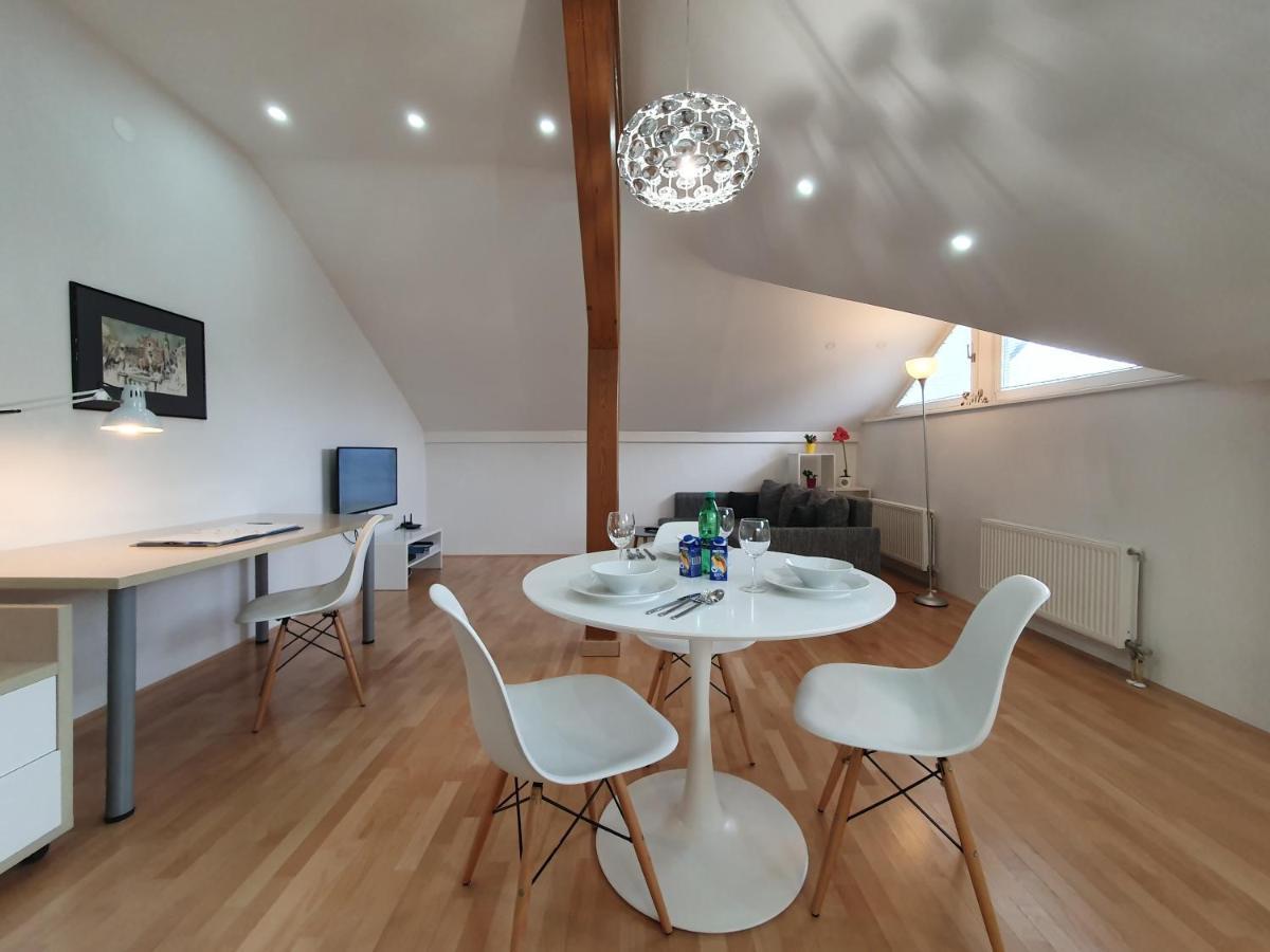 Charming Apartment Mila In Privat House With Free Parking Liubliana Exterior foto